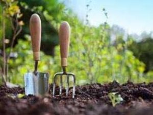 Supervised Garden Maintenance Services