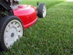 Supervised Garden Maintenance Services